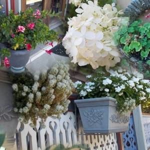 Meet your Posher, Linda